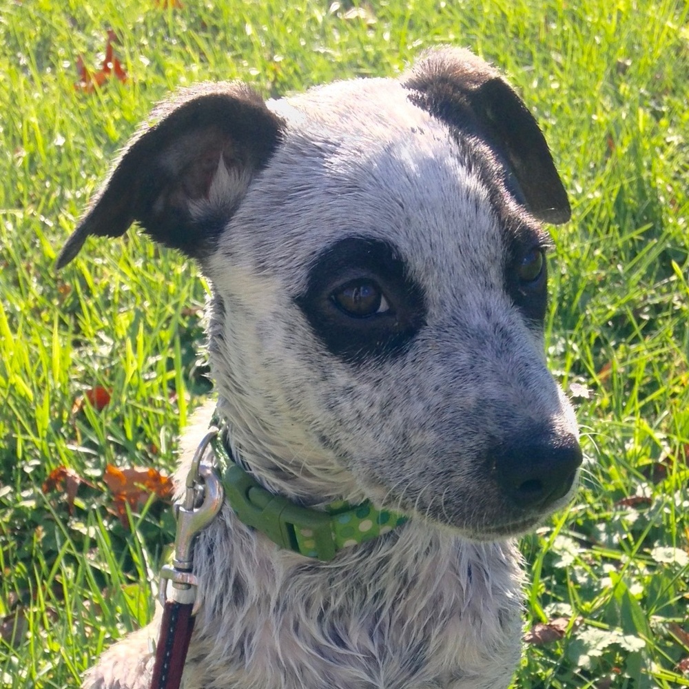 Meet your Posher, Una